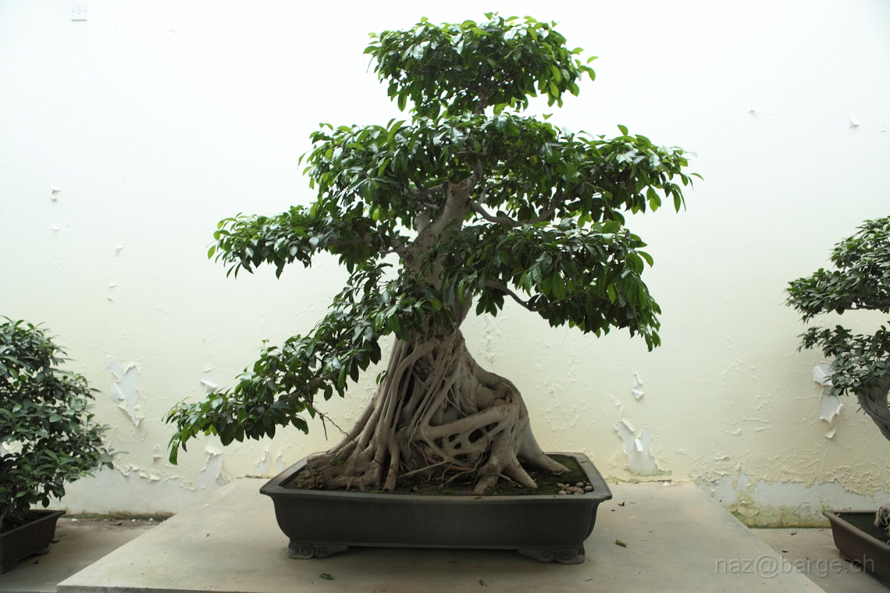 EOS 5D Mark II16_04_20135079.JPG